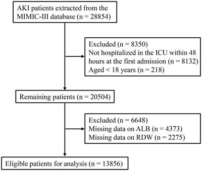 Association and prediction of red blood cell distribution width to albumin ratio in all-cause mortality of acute kidney injury in critically ill patients